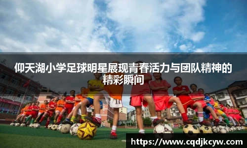 仰天湖小学足球明星展现青春活力与团队精神的精彩瞬间